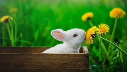 爱游戏下载-巴拉多利德取得胜利，豪取联赛第二位，巴拉多利德身价