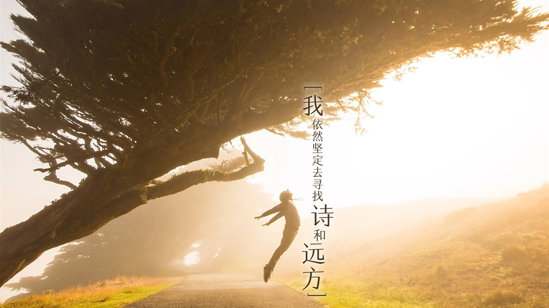特色足球节激发全民运动热情，推动体育文化繁荣，足球文化节活动