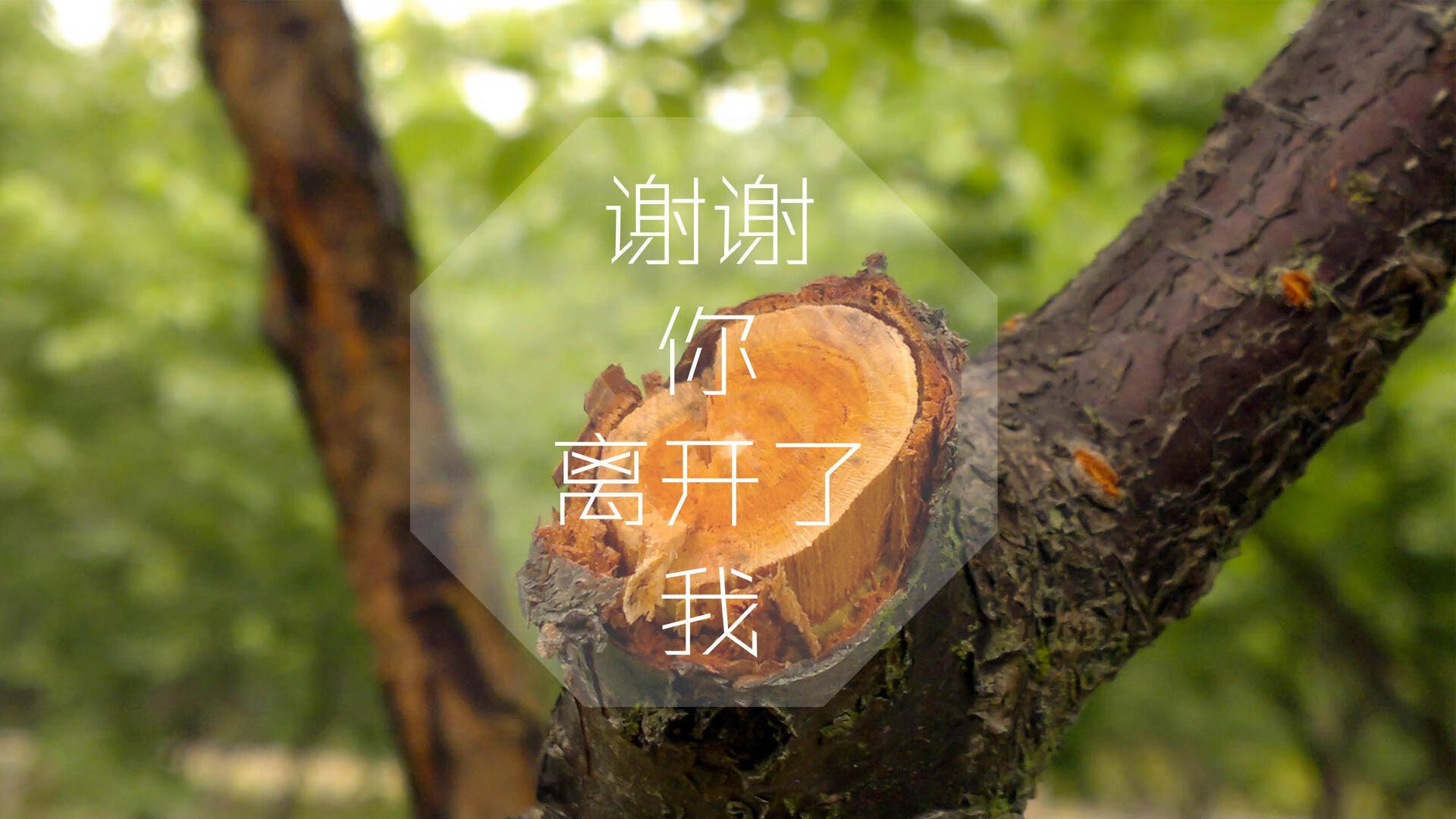 绝地求生 国际赛场竞争日趋激烈，绝地求生国际比赛规则