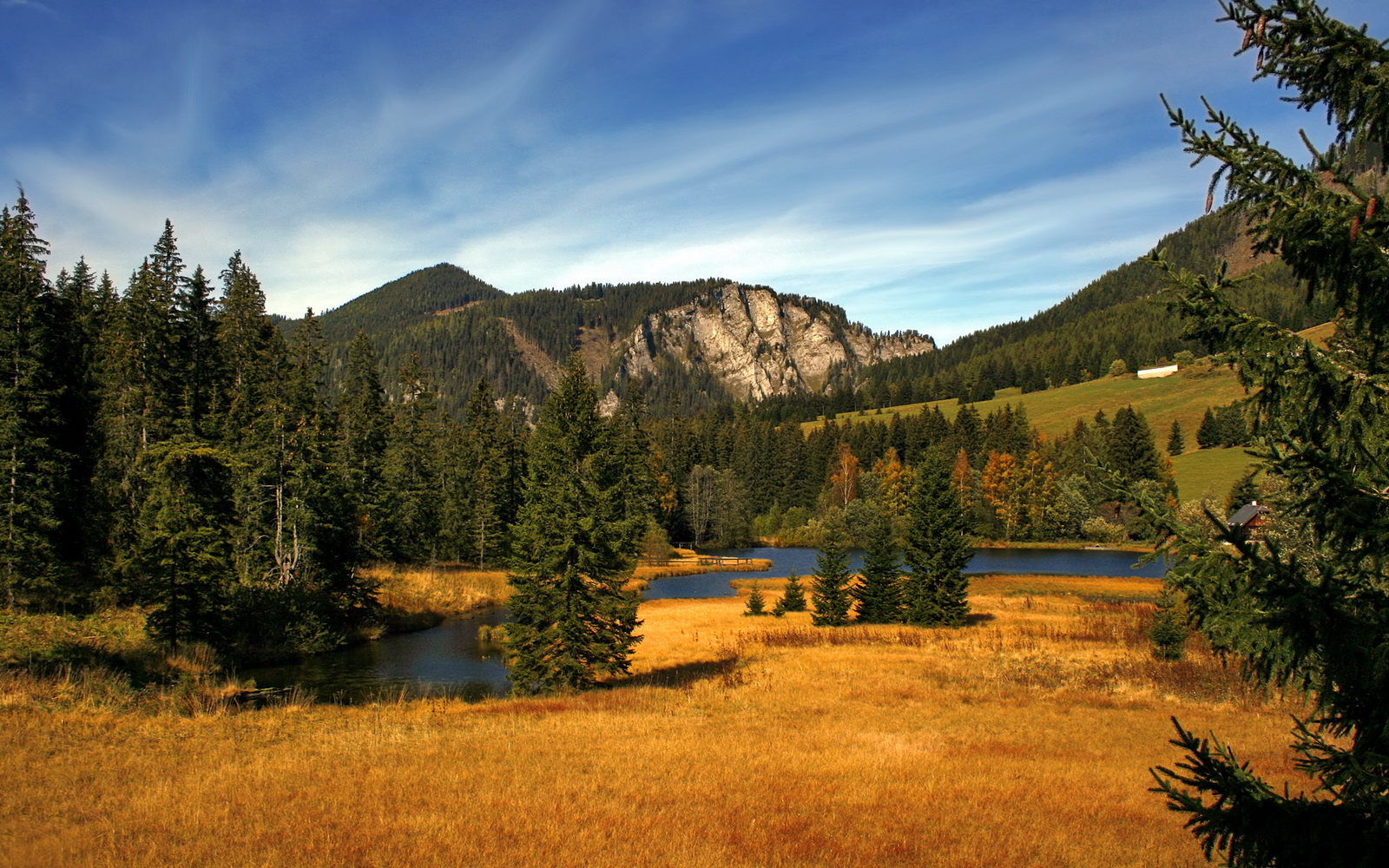 掘金压哨战胜雄鹿，全明星赛前哨战中约基奇贡献关键助攻，掘金队约基奇的合同