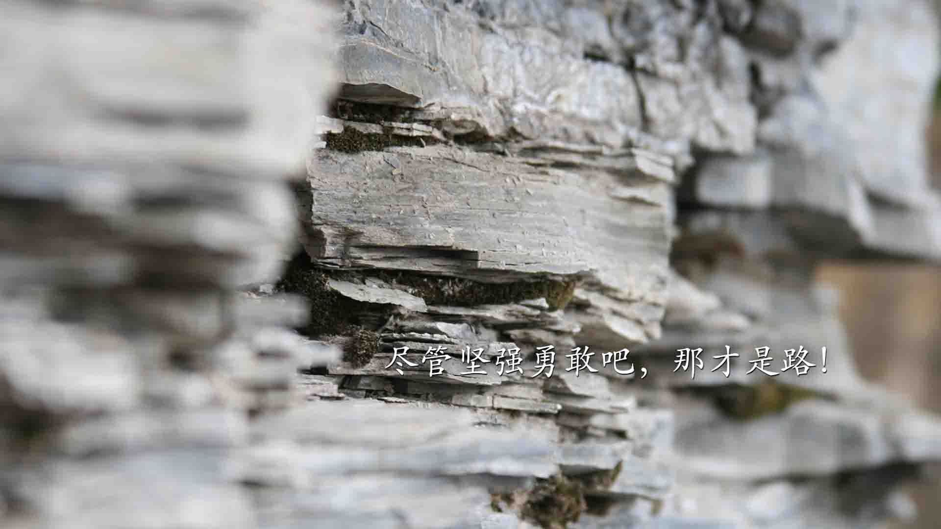 国足对抗强度与黄牌频率对照数据，国足队内对抗赛