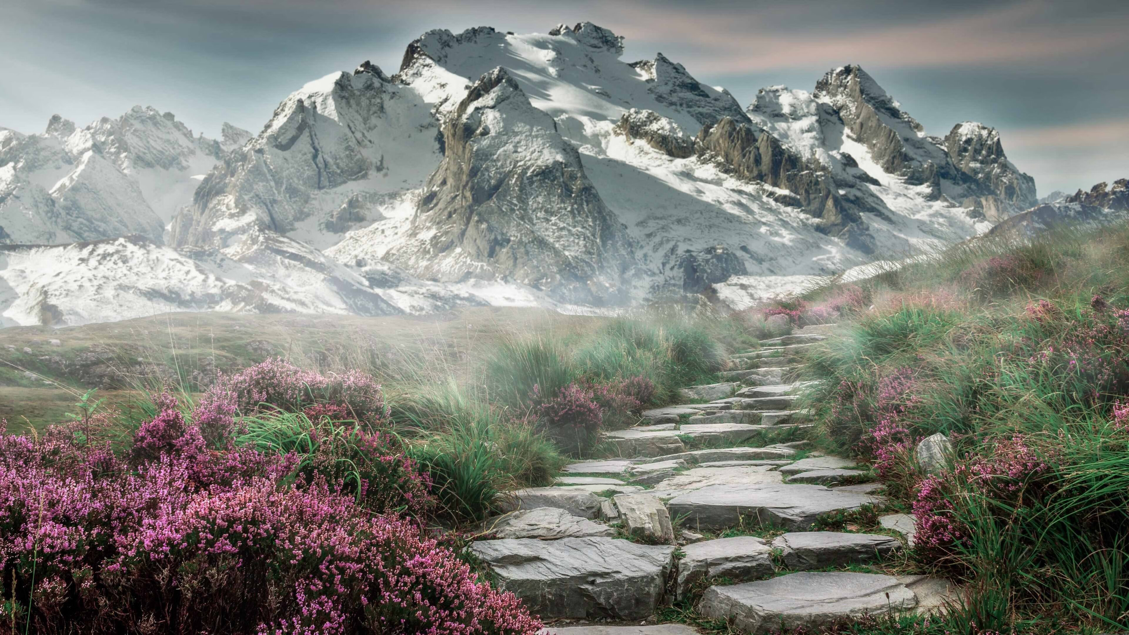 运动员康复技术研发，运动员康复师是什么专业