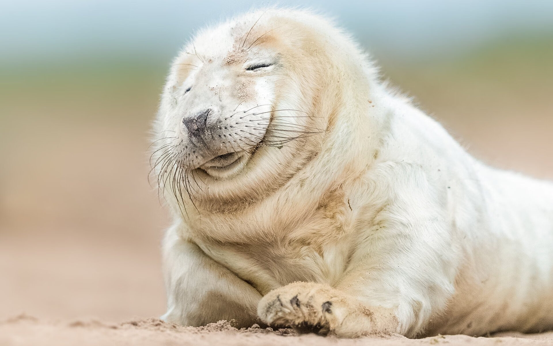 东亚杯中国女足战平 球员状态略有波动，中国女足再战东京