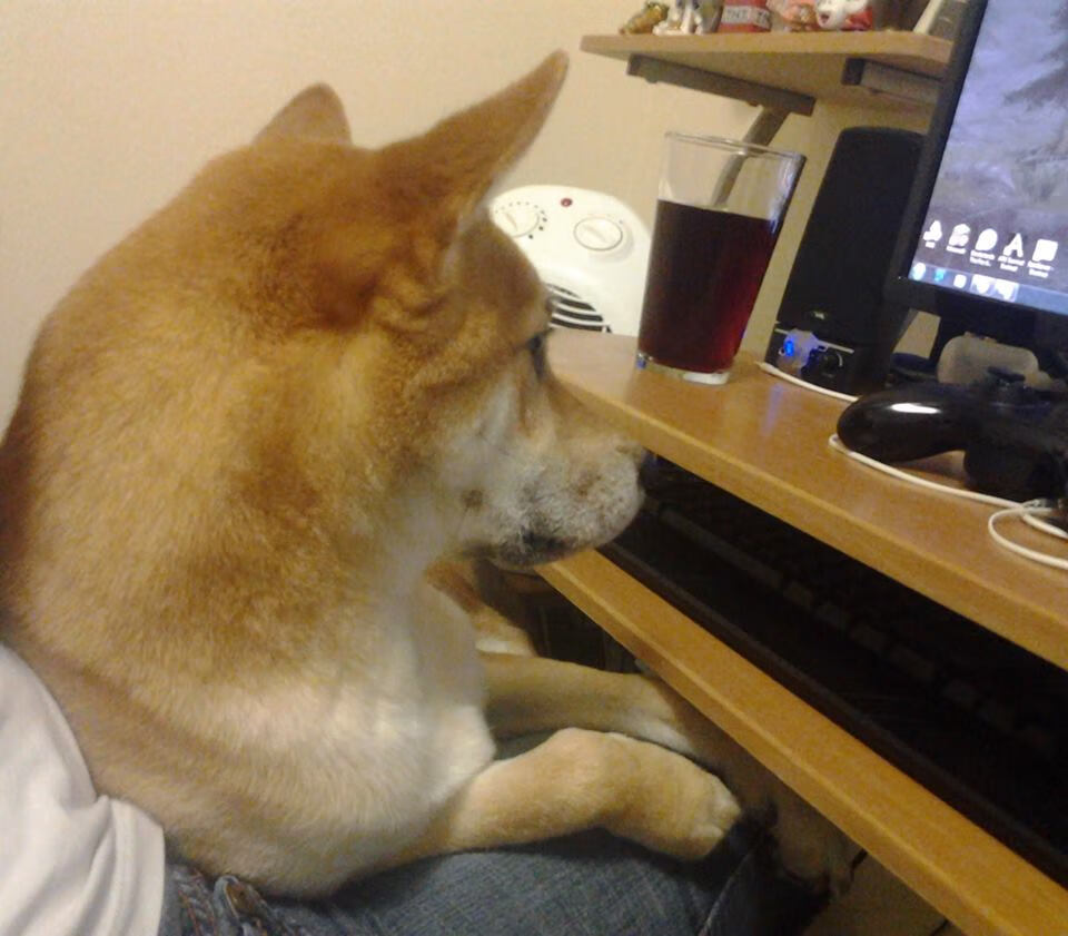 中国男篮备战世界杯 加强战术磨合，中国男篮备战世界杯 加强战术磨合了吗