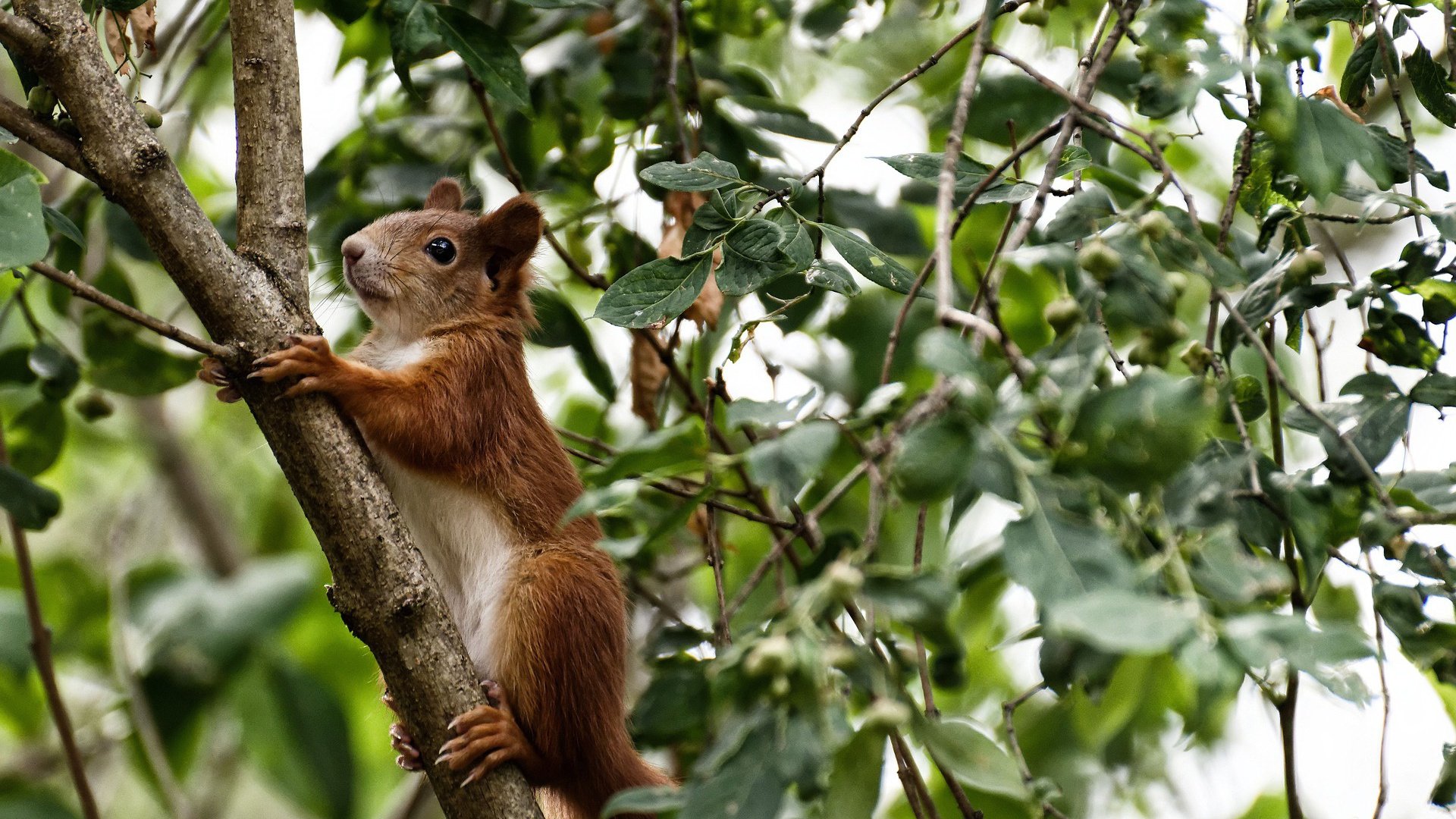 国家队出战亚洲杯 战平结局令人意外，亚洲杯对战名单